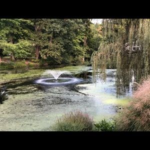 Meet your Posher, Crystal